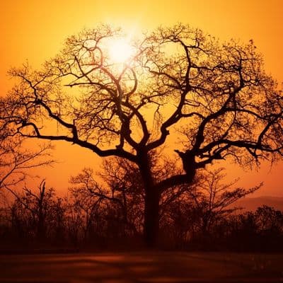 Resilience training in South Africa