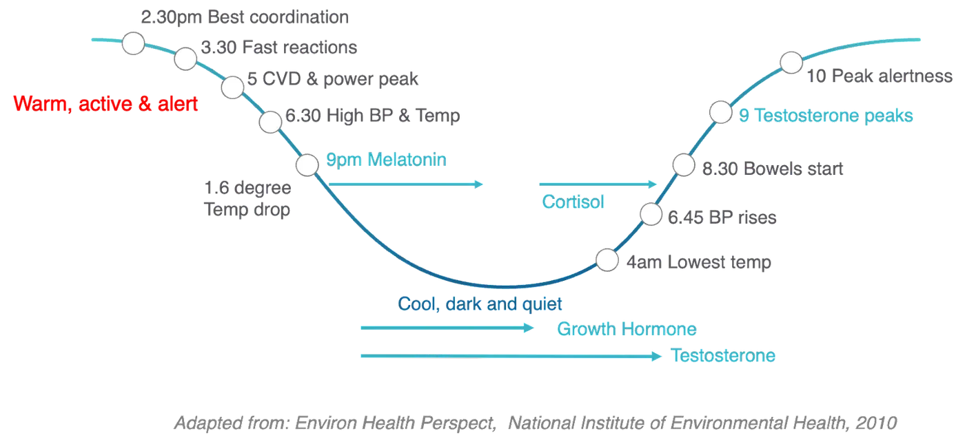 DiagramDescription automatically generated
