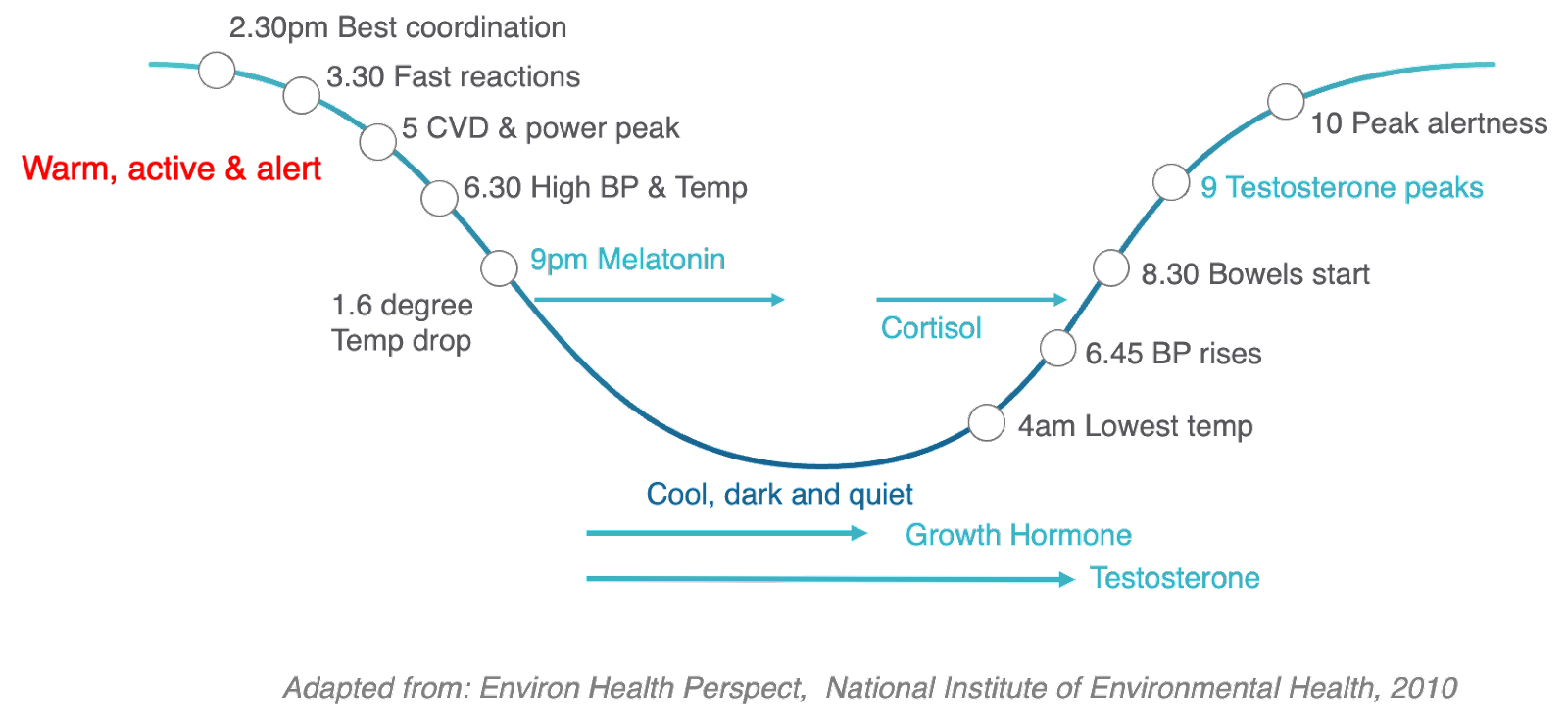 DiagramDescription automatically generated